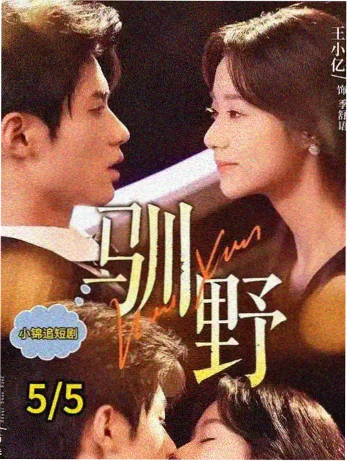 年代家庭国产剧《胡同里的四季》剧照